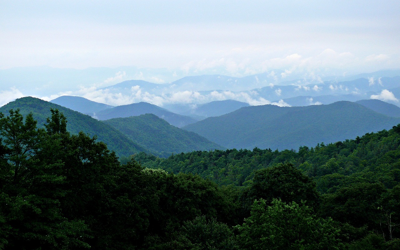 Hiking and Scenic Views in Blue Ridge, GA