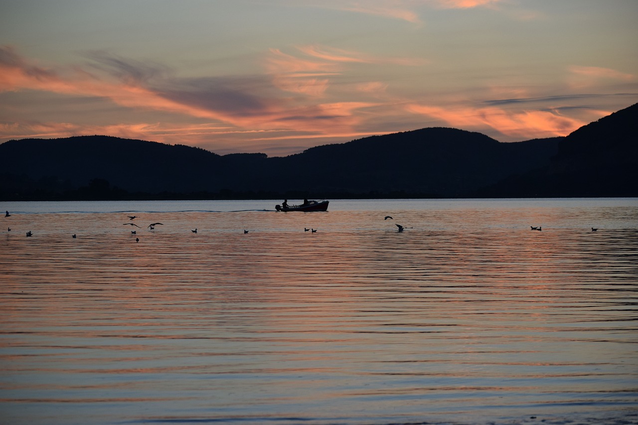 Experiencia Gastronómica y Cultural en Santoña