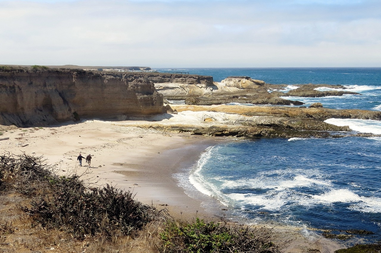 Aventure et Détente sur la Côte Californienne