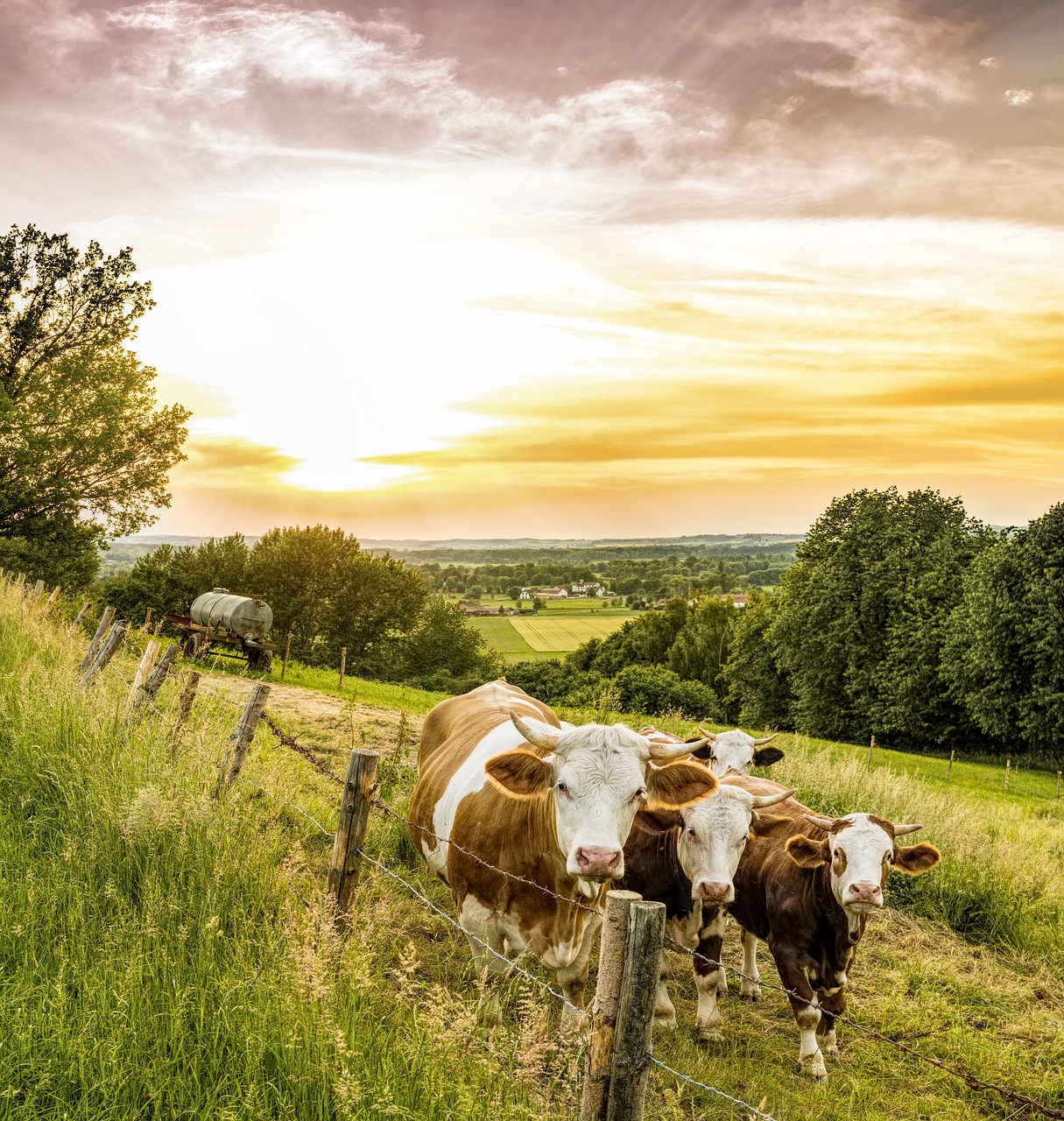 Culinary and Historical Delights in Bovino and Surroundings