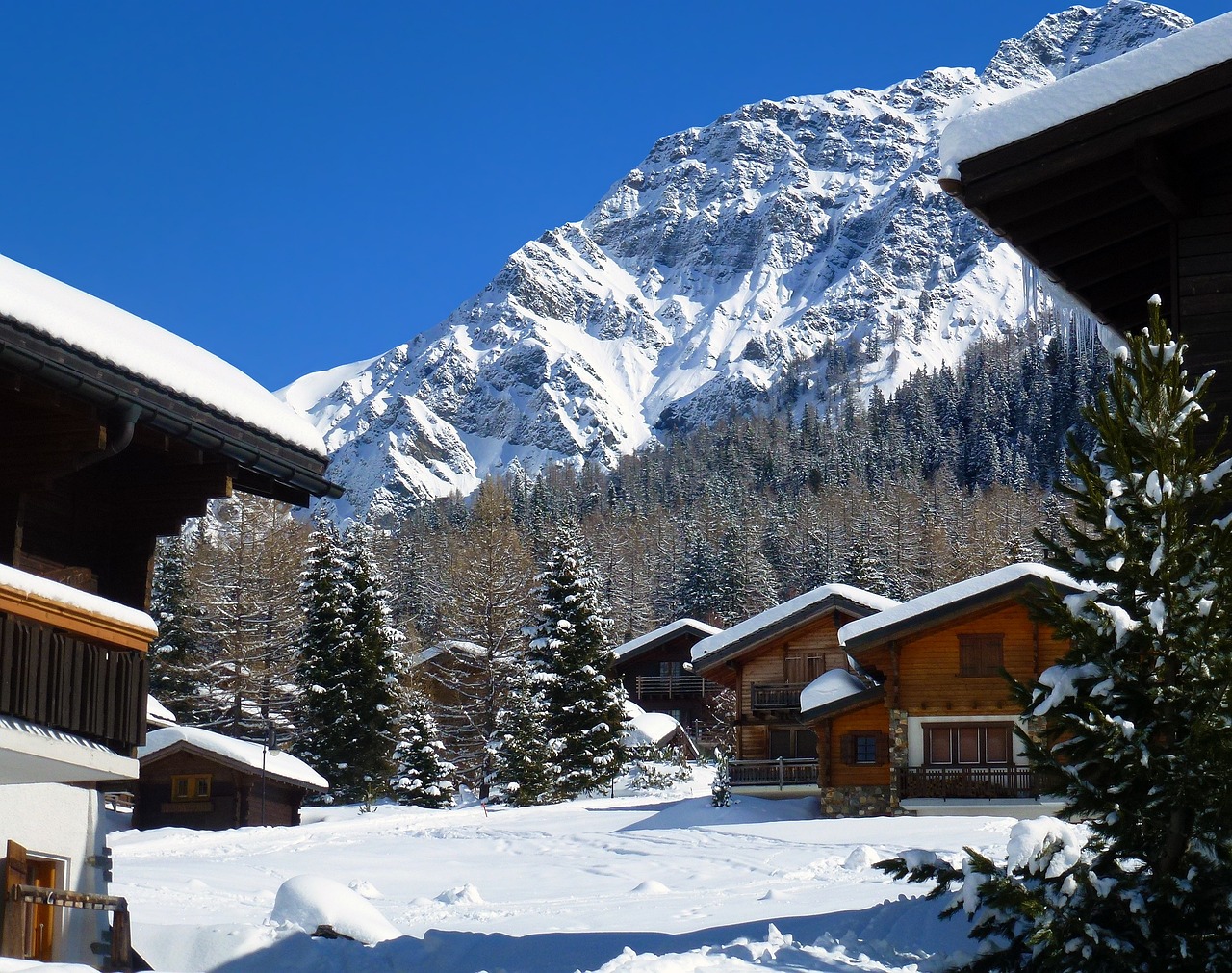 Scenic Alps and Swiss Riviera in Leysin