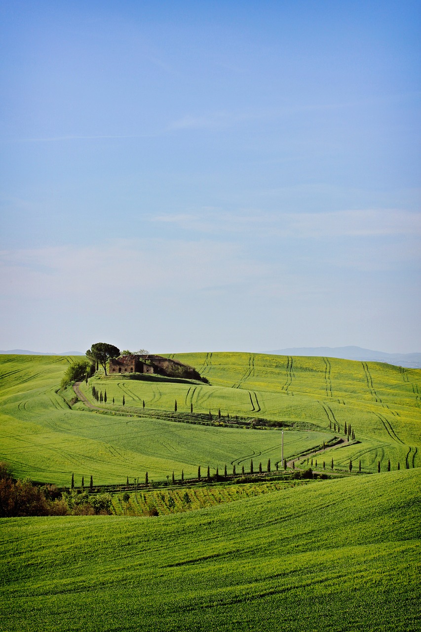 Tuscan Delights: Vineyards, Art, and Cuisine