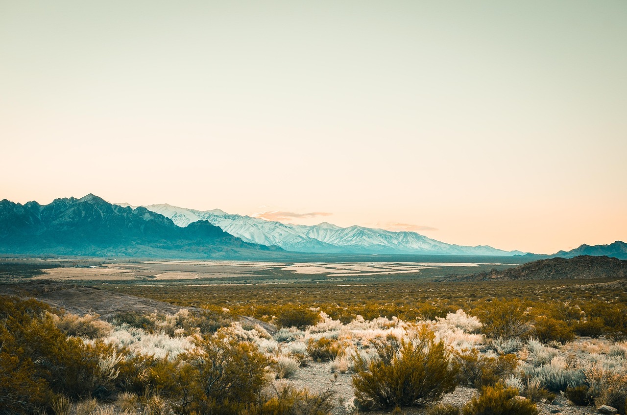 Wine Lovers Retreat in Mendoza's Estancia