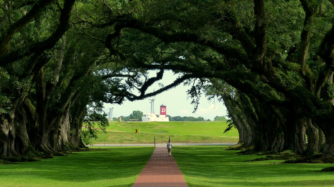 Plantation Paradise in Louisiana: A Journey Through History