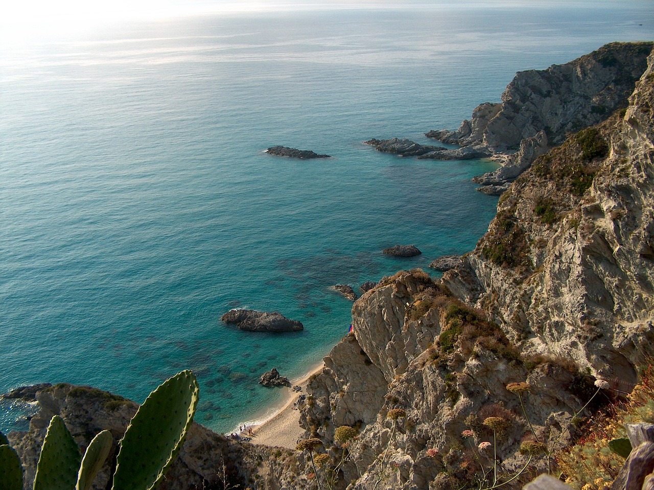 Esperienze Marine e Gastronomiche a Capo Vaticano