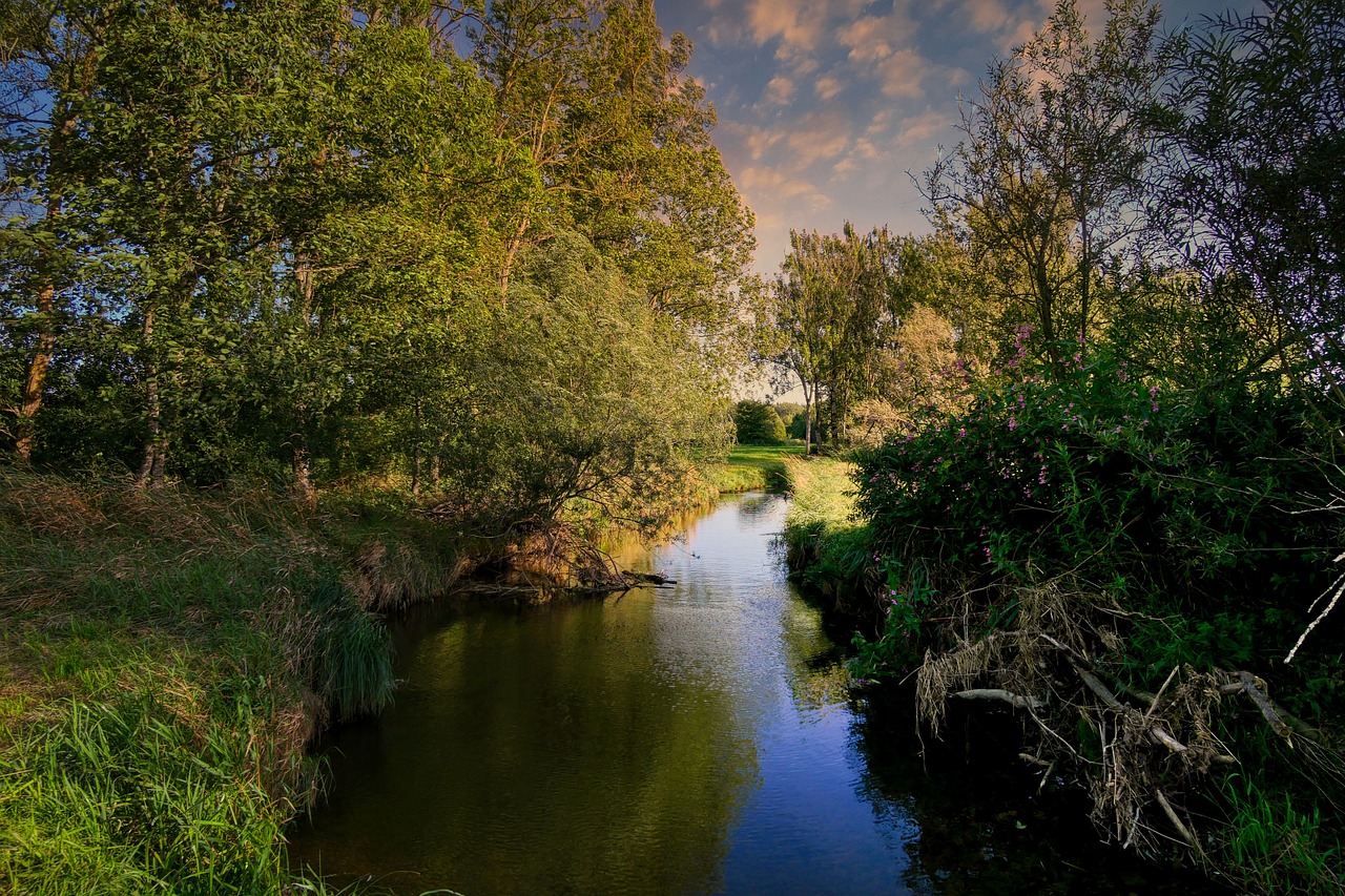 Historical and Culinary Delights in Stafford