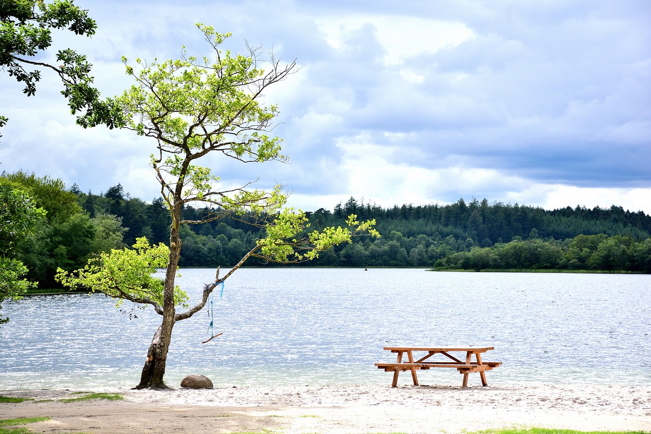 Esplorando la Bellezza di Silkeborg