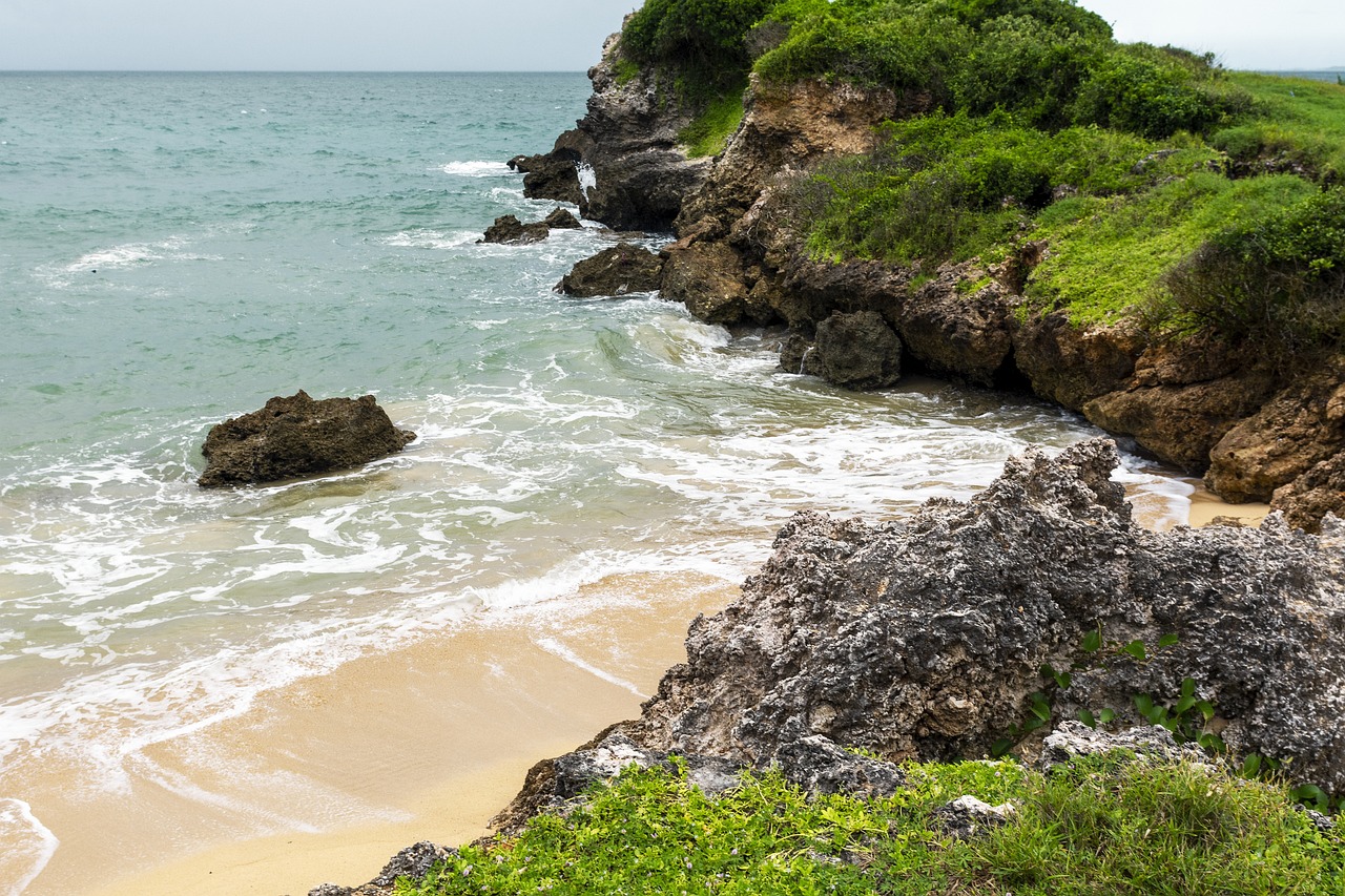 Explorando la Diversidad de Dar es Salaam