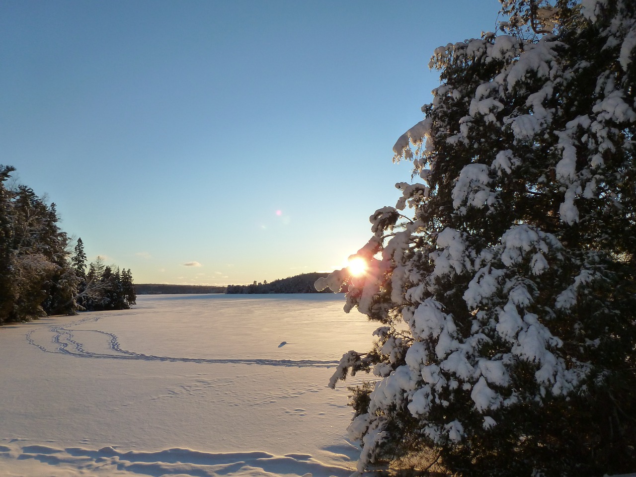 Haliburton Culinary Delights and Nature Escape