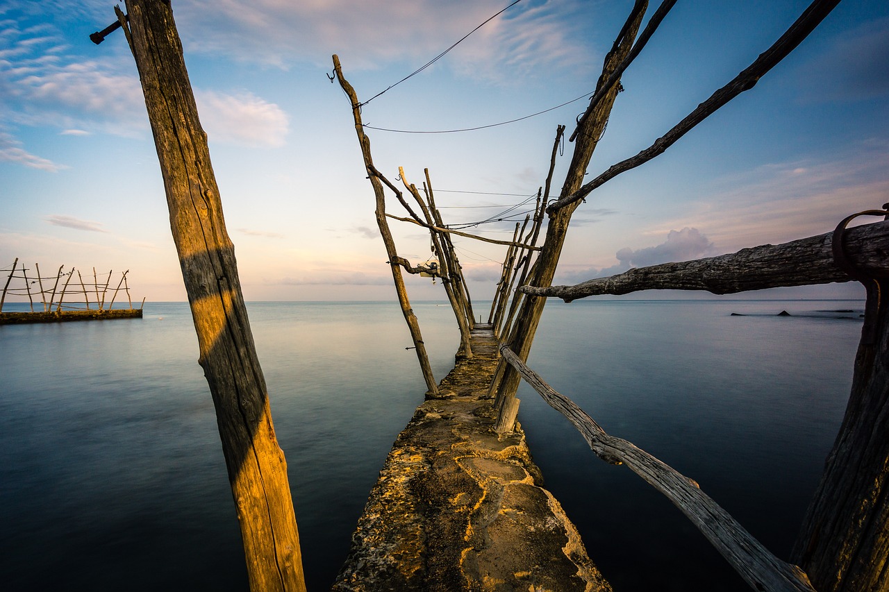 Seaside Delights in Umag: Boat Trips and Local Cuisine