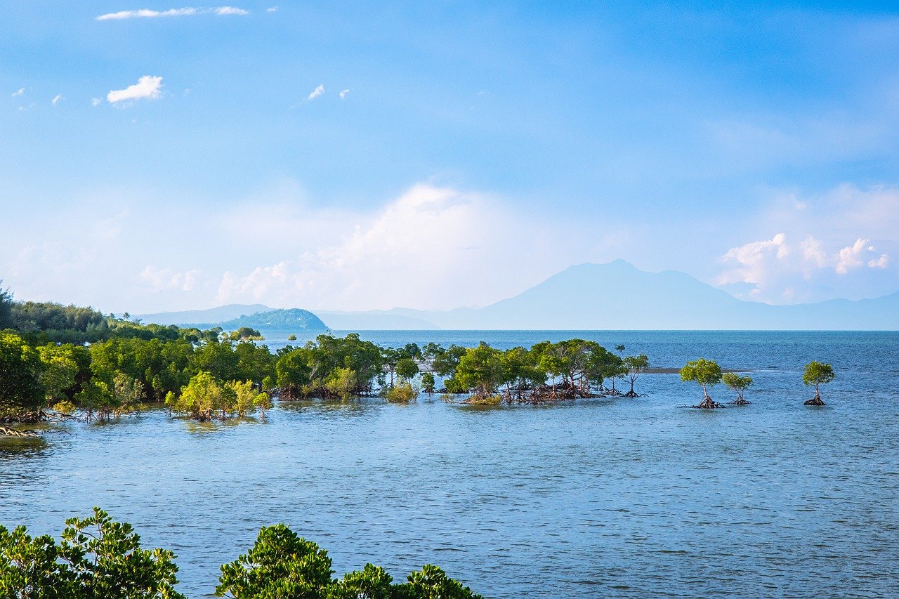 Ultimate Tropical North Queensland Adventure