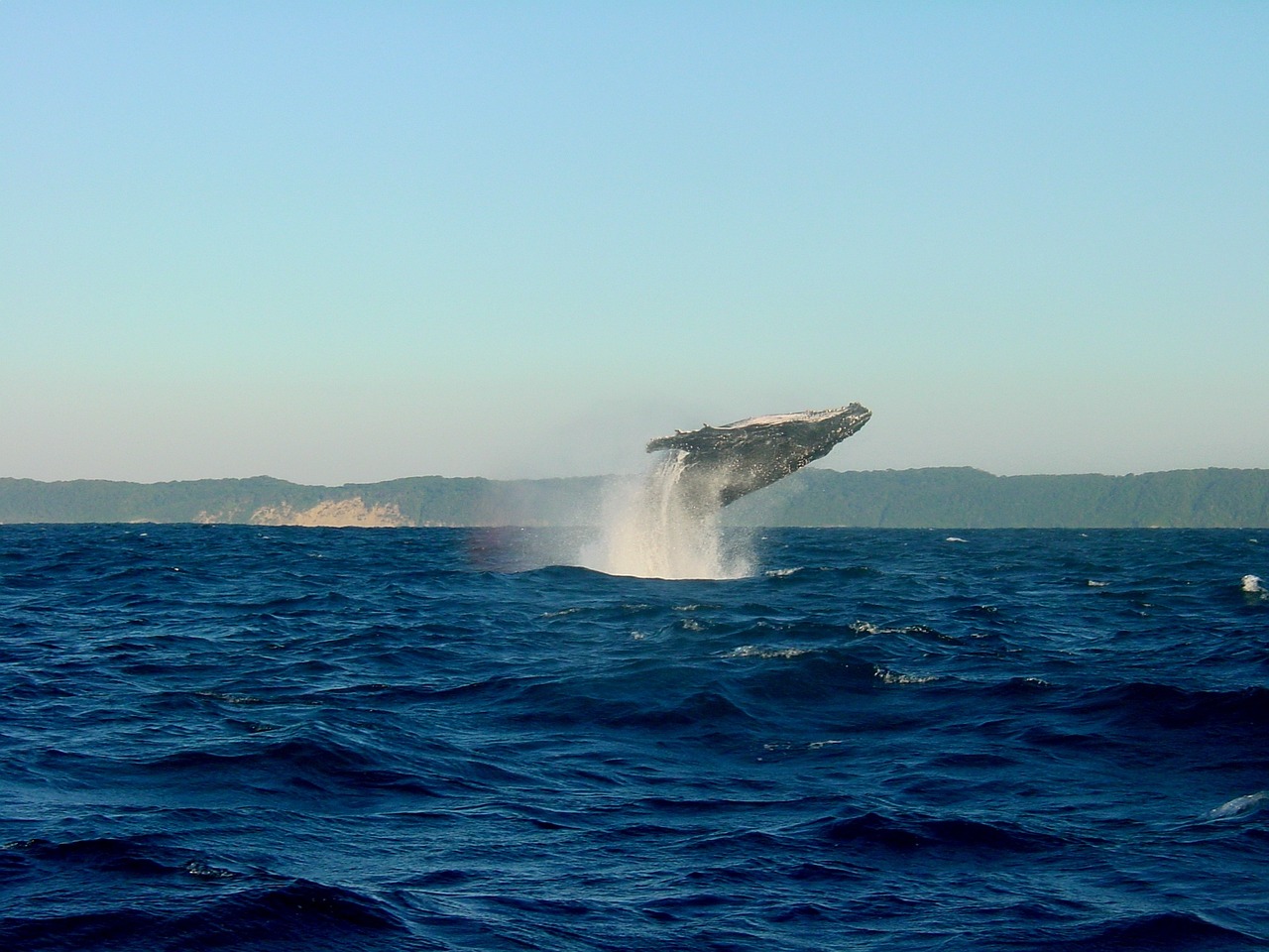 Wildlife and Cultural Exploration in Richards Bay