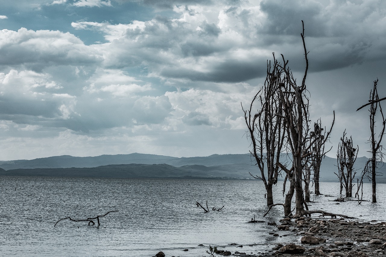 Nature and Wildlife in Naivasha