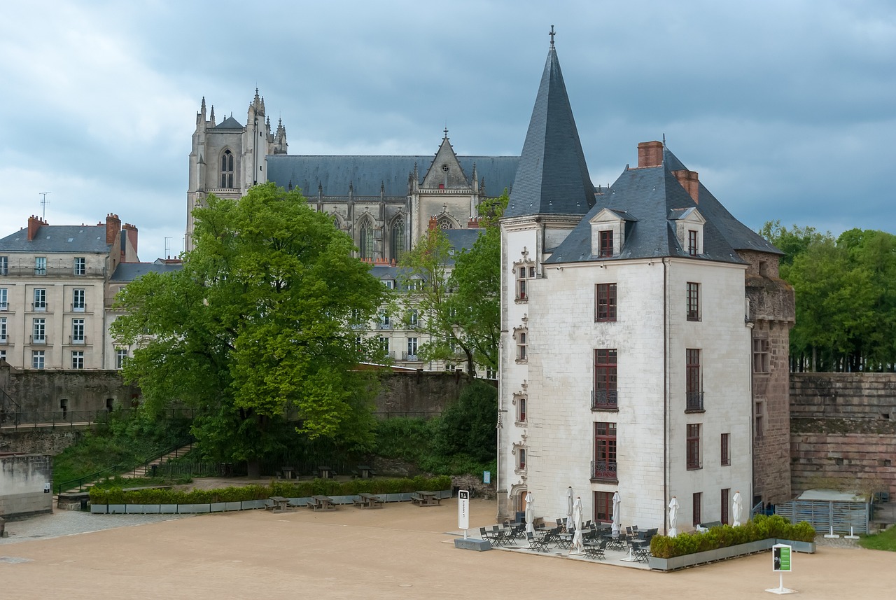 Nantes: City, Vineyards, and Local Cuisine Exploration