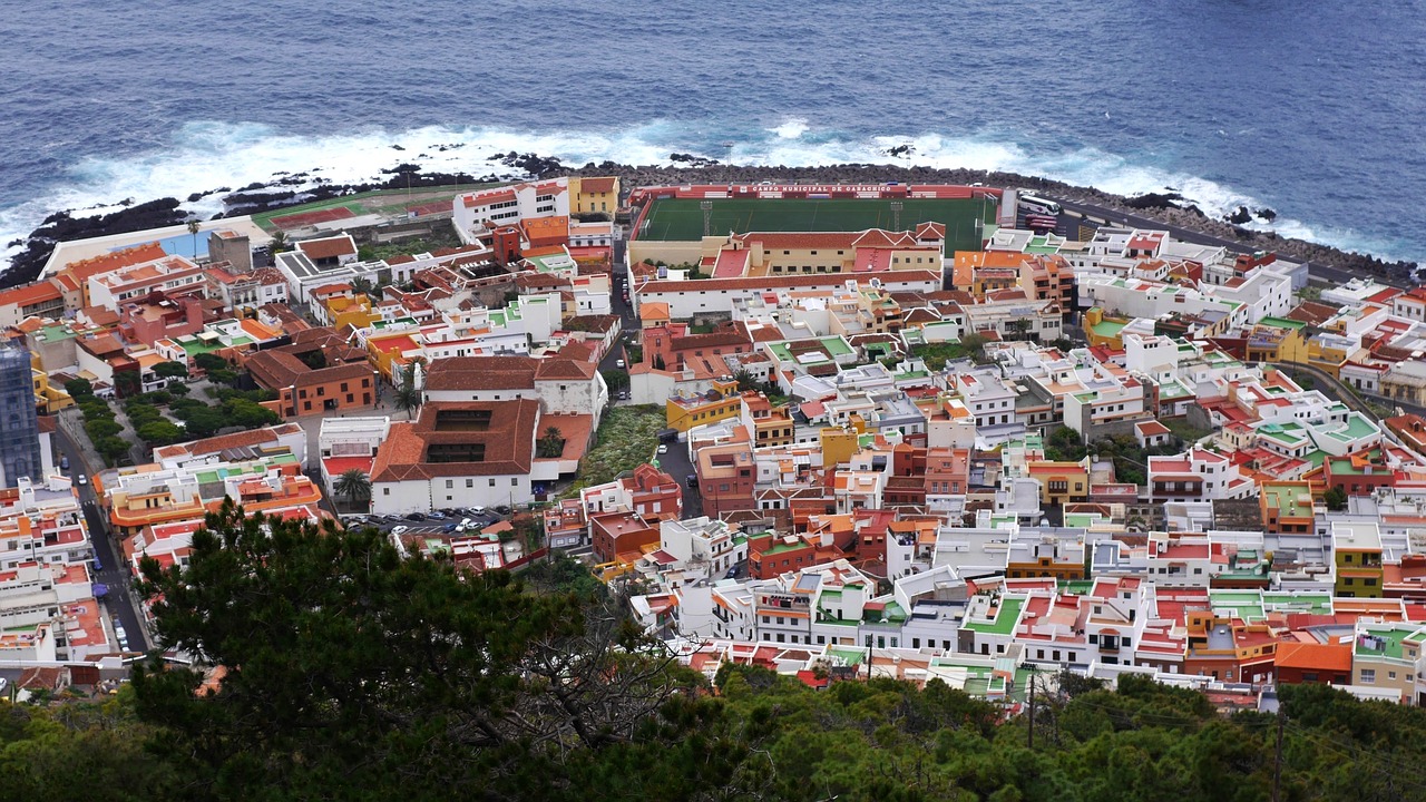 Whale Watching and Teide Stargazing in Garachico