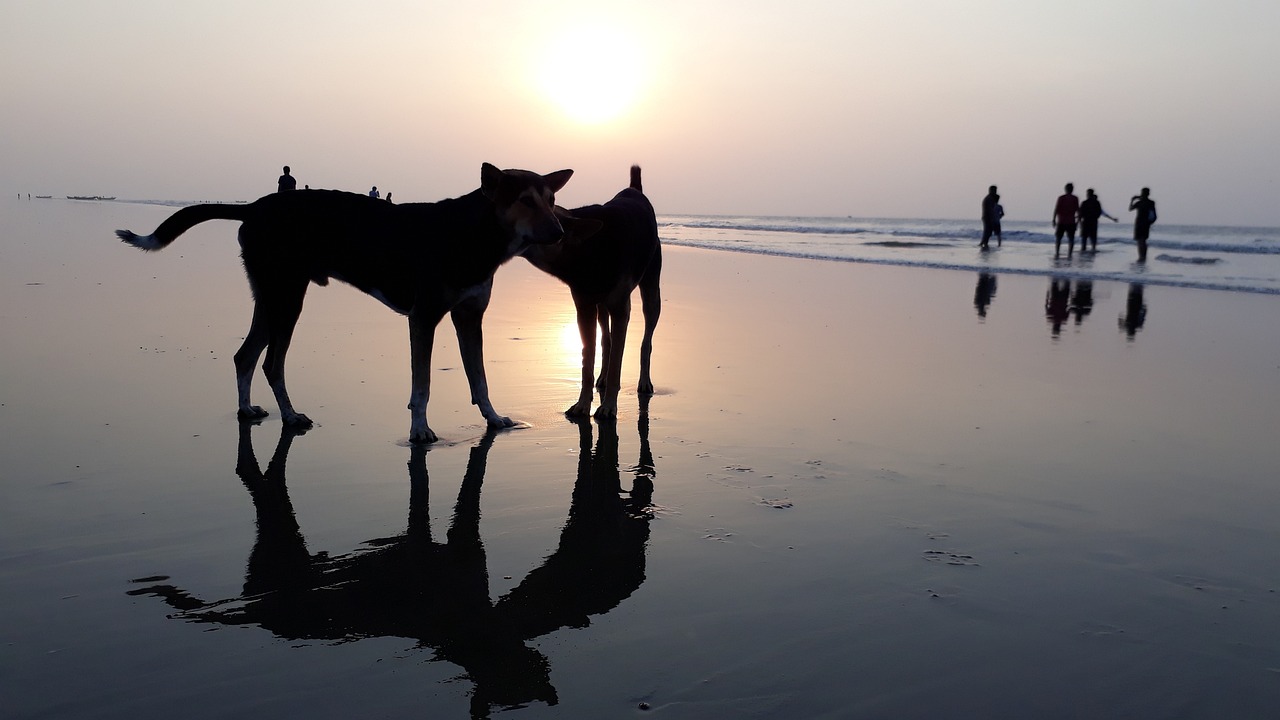 Culinary Delights in Digha: A 3-Day Food and Beach Getaway