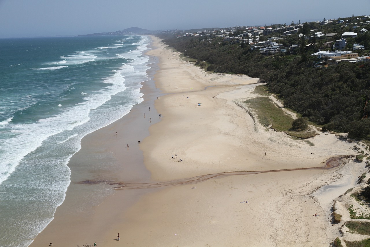 Aventura Acuática en Noosa: Surf, Kayak y Delfines