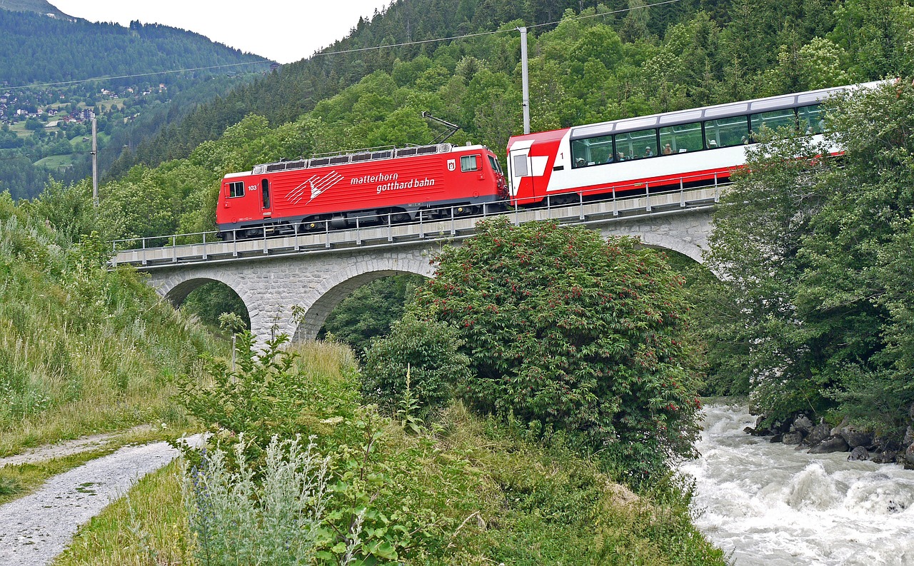 Découverte de Genève et Excursion à Chamonix