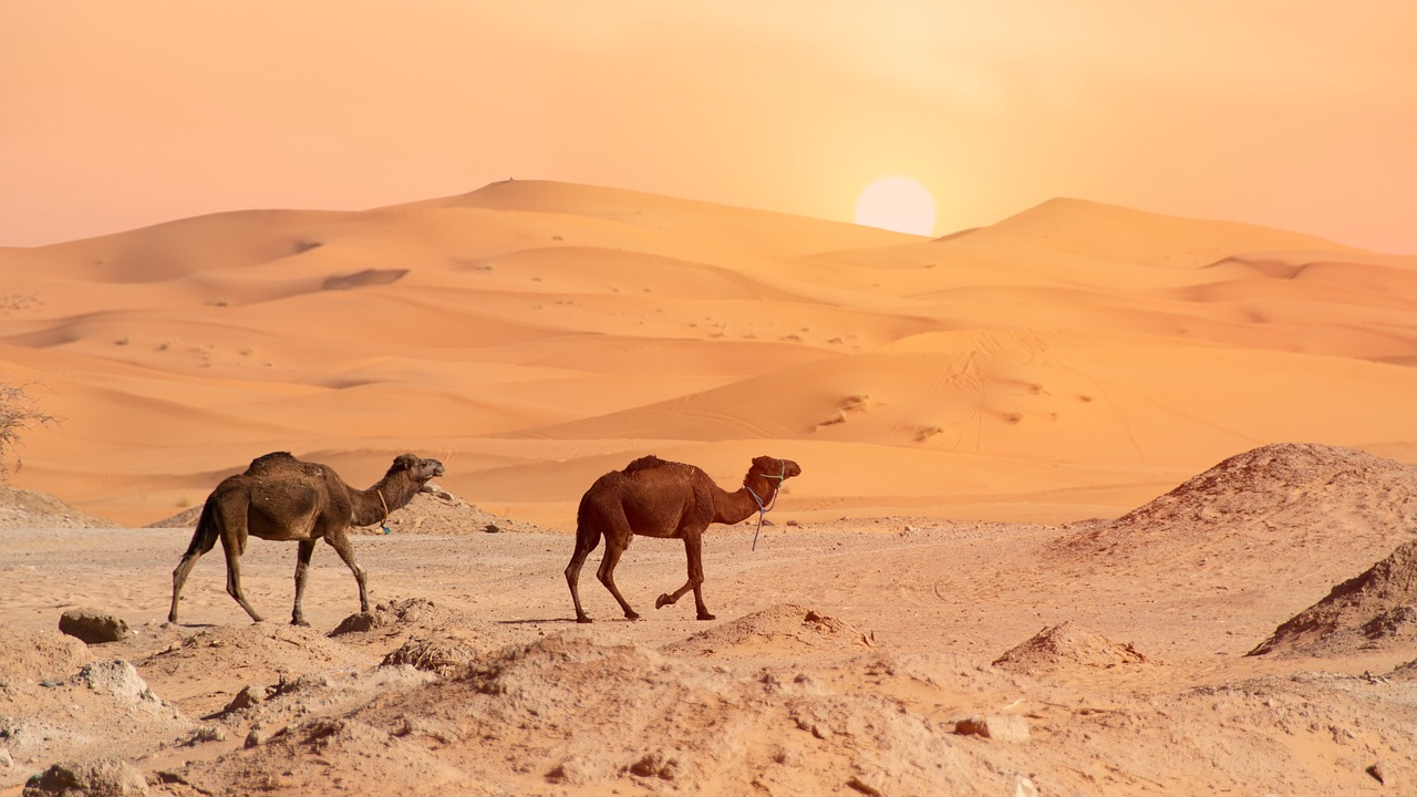 Desert Adventure in Merzouga: Camel Treks and Luxury Camps