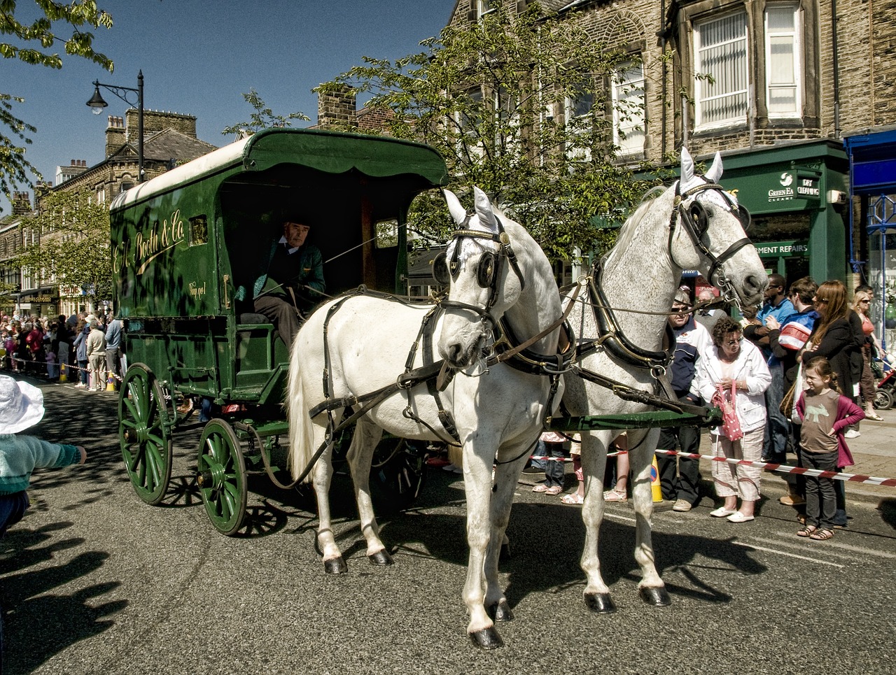 A Day in Ilkley: Canal Cruise and Local Delights