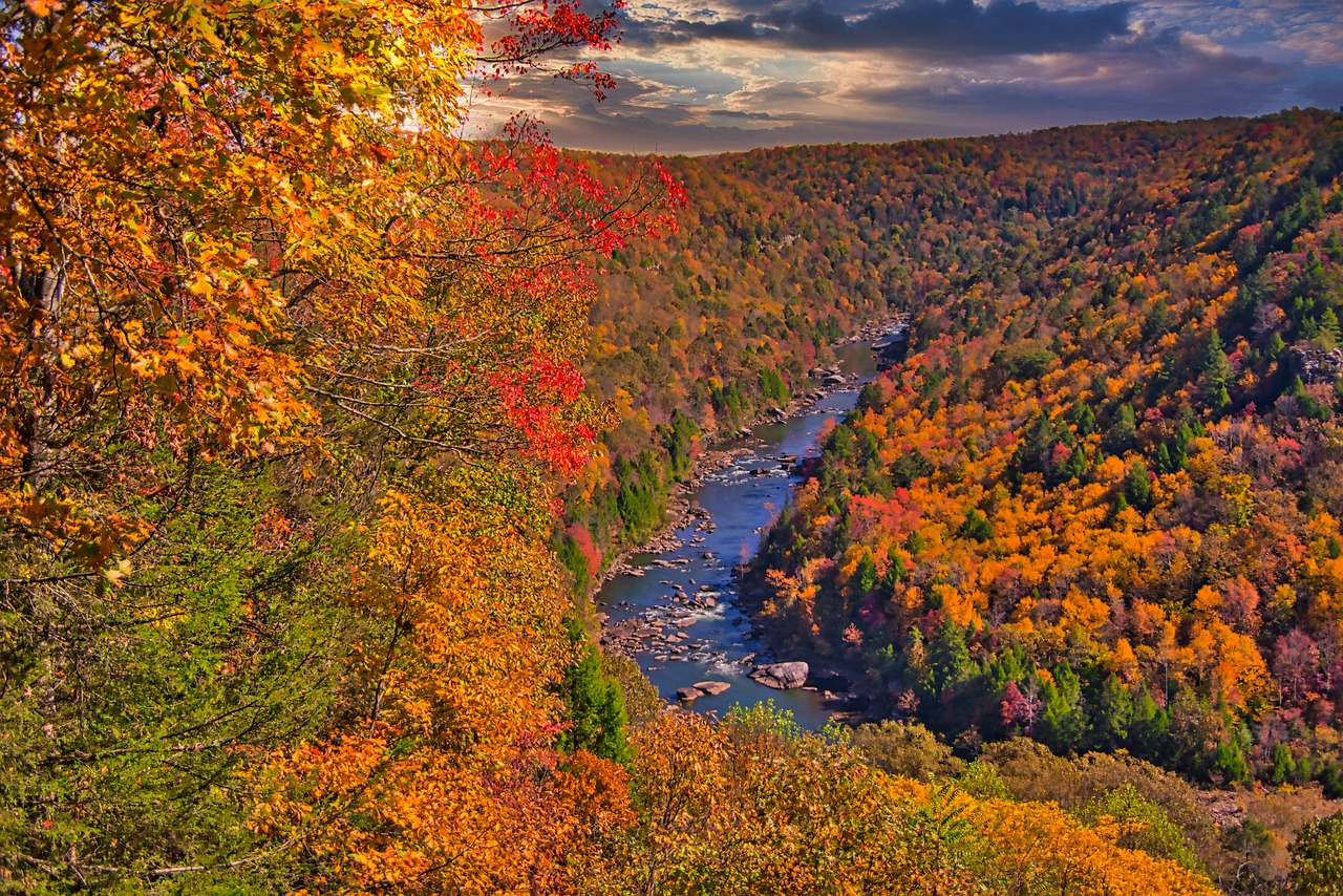 Scenic Road Trip from Toronto to West Virginia