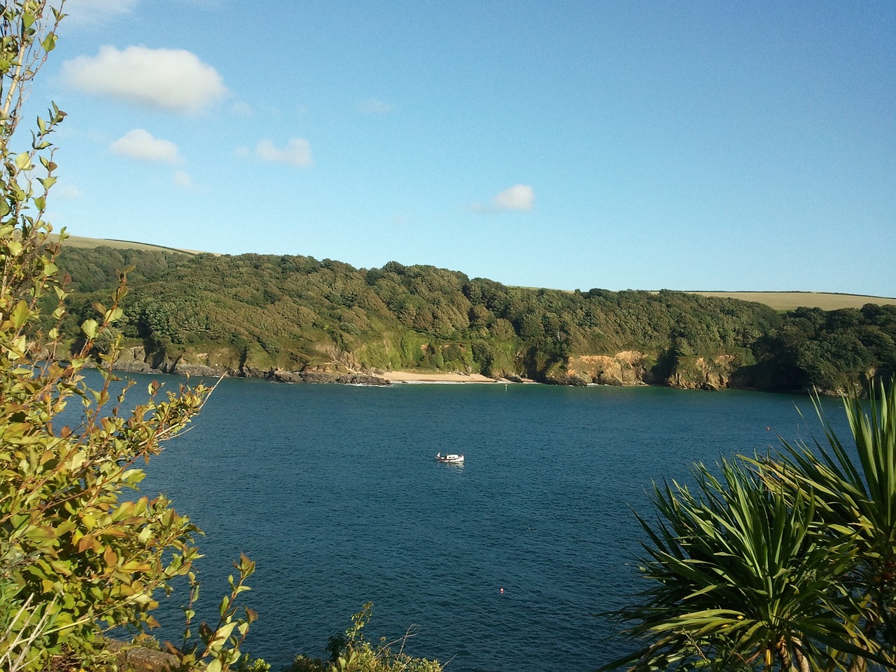 Seaside Serenity: A 5-Day Escape to Salcombe