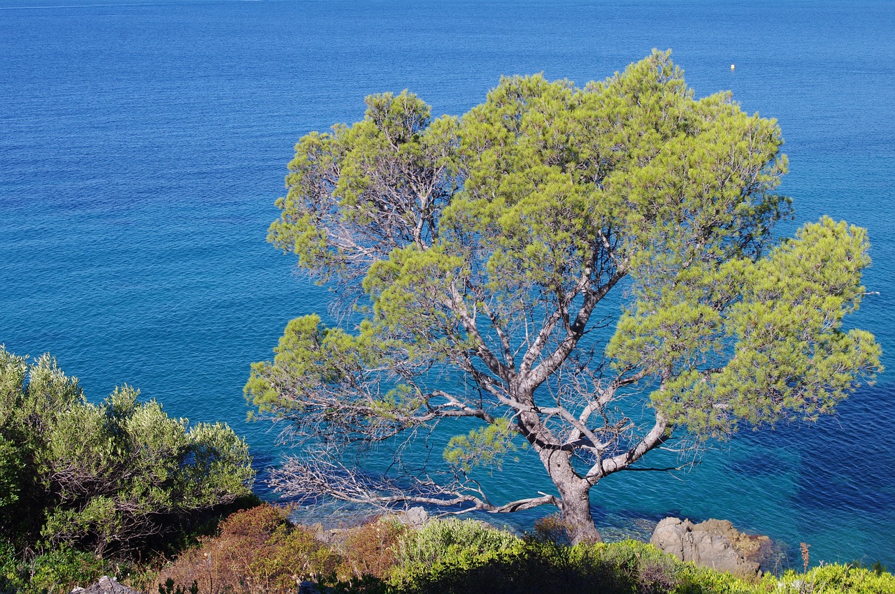 Seaside Adventures and Gastronomic Delights in La Croix-Valmer