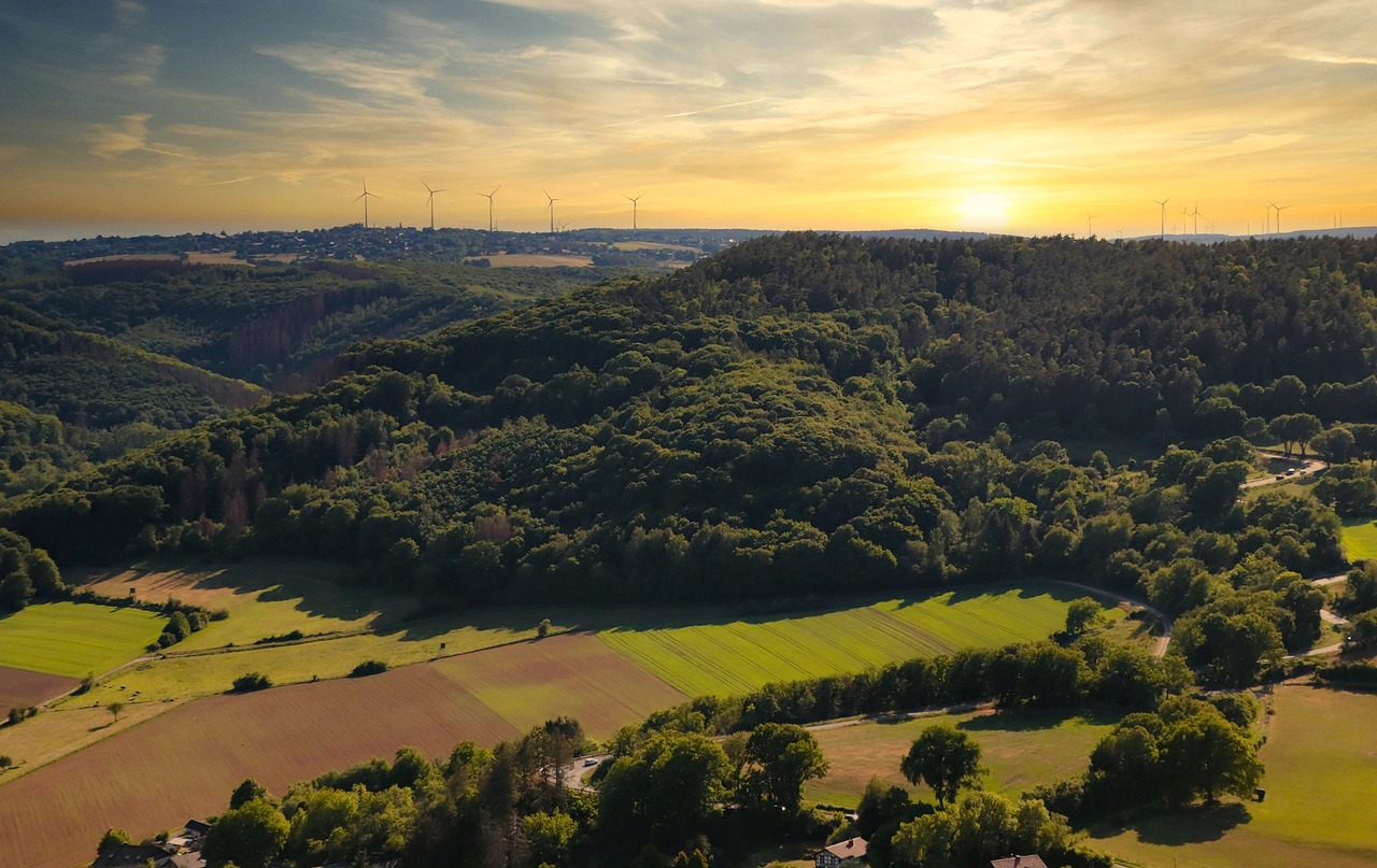 Historic and Culinary Delights in Nideggen and Aachen