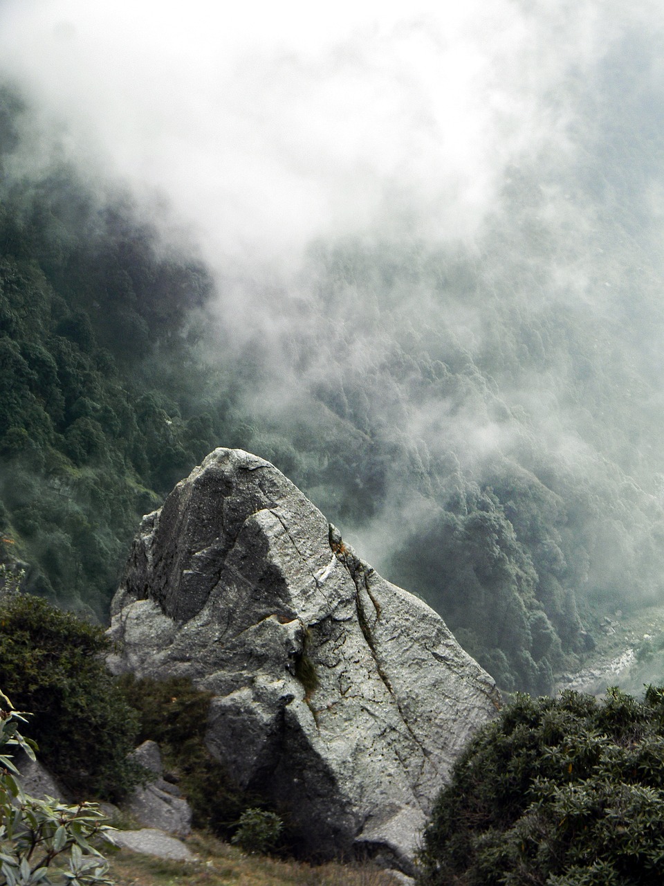 Spiritual Serenity in Dharamshala