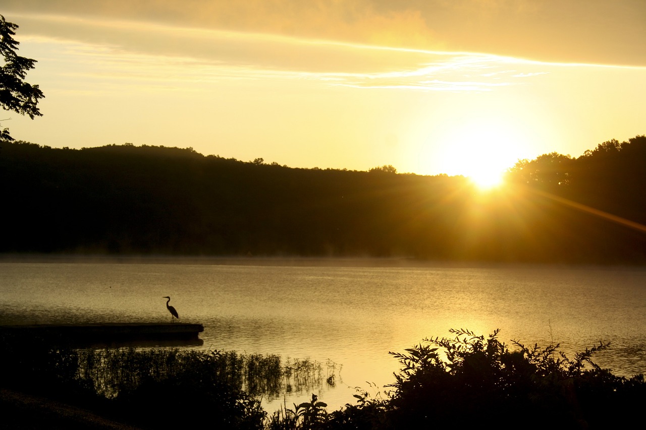 Lake of the Ozarks Relaxing Getaway