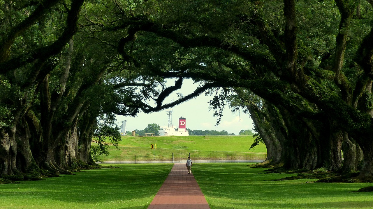 Louisiana Adventure: From New Orleans to Baton Rouge