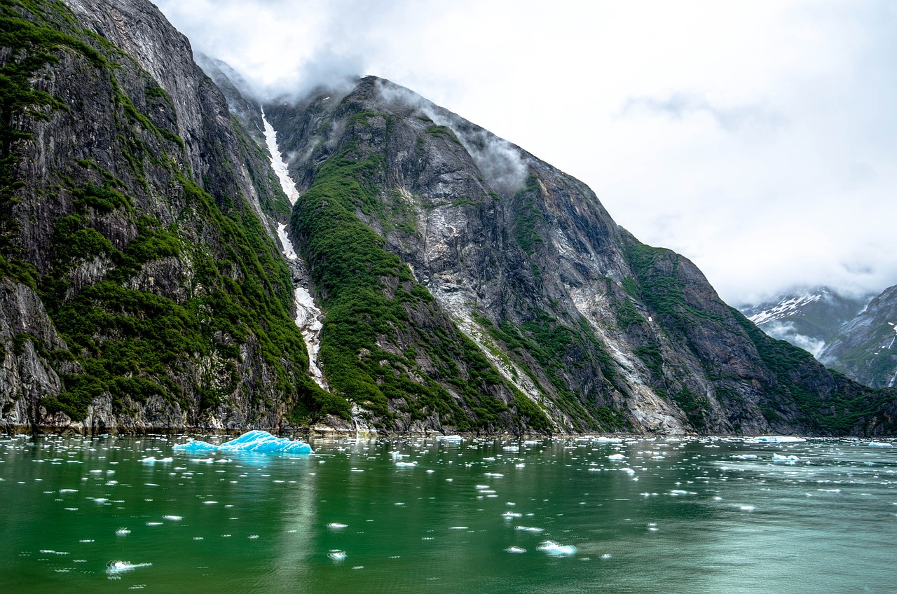 Ultimate 7-Day Juneau Adventure with Whales and Glaciers