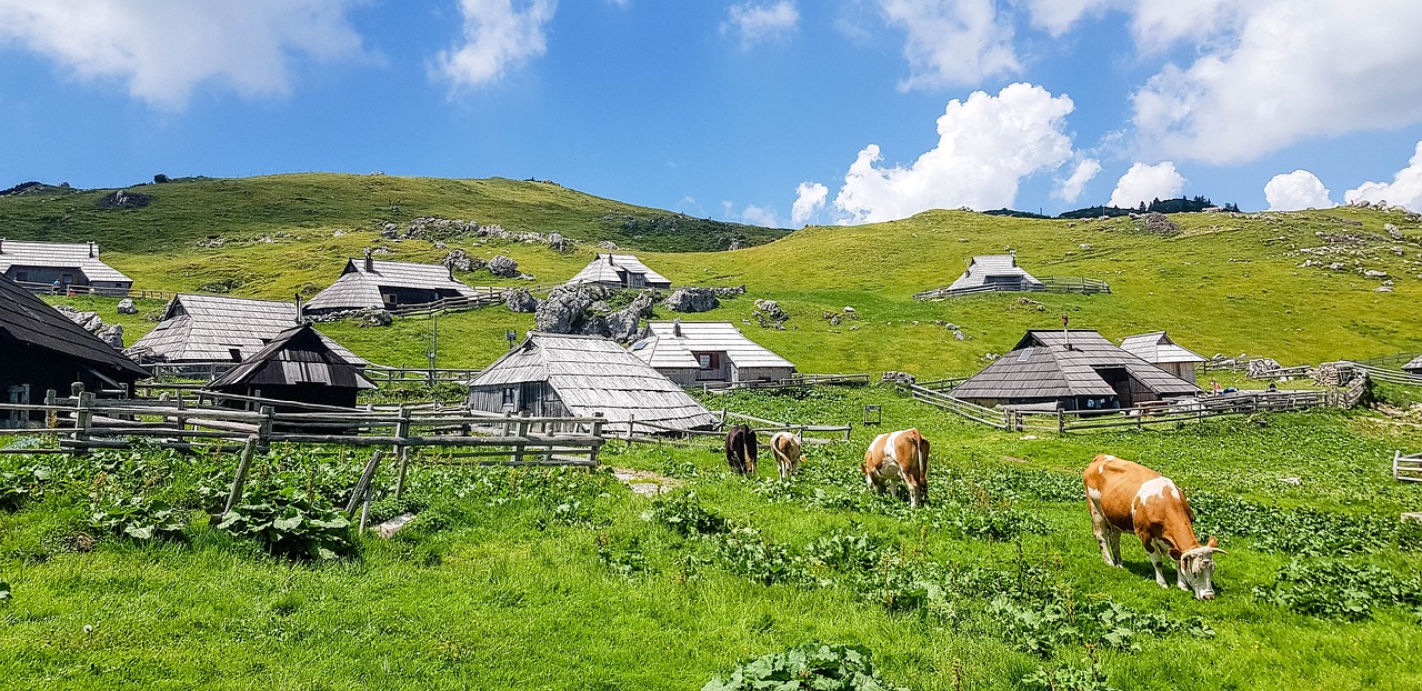 Découverte de la Nature et de la Cuisine Locale à Velika Planina