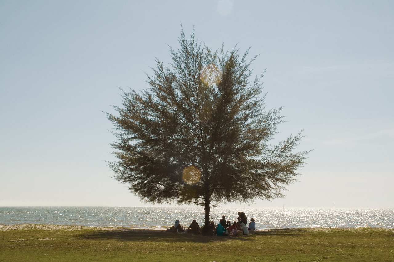 Beach Bliss and Nature's Charm in Kuantan