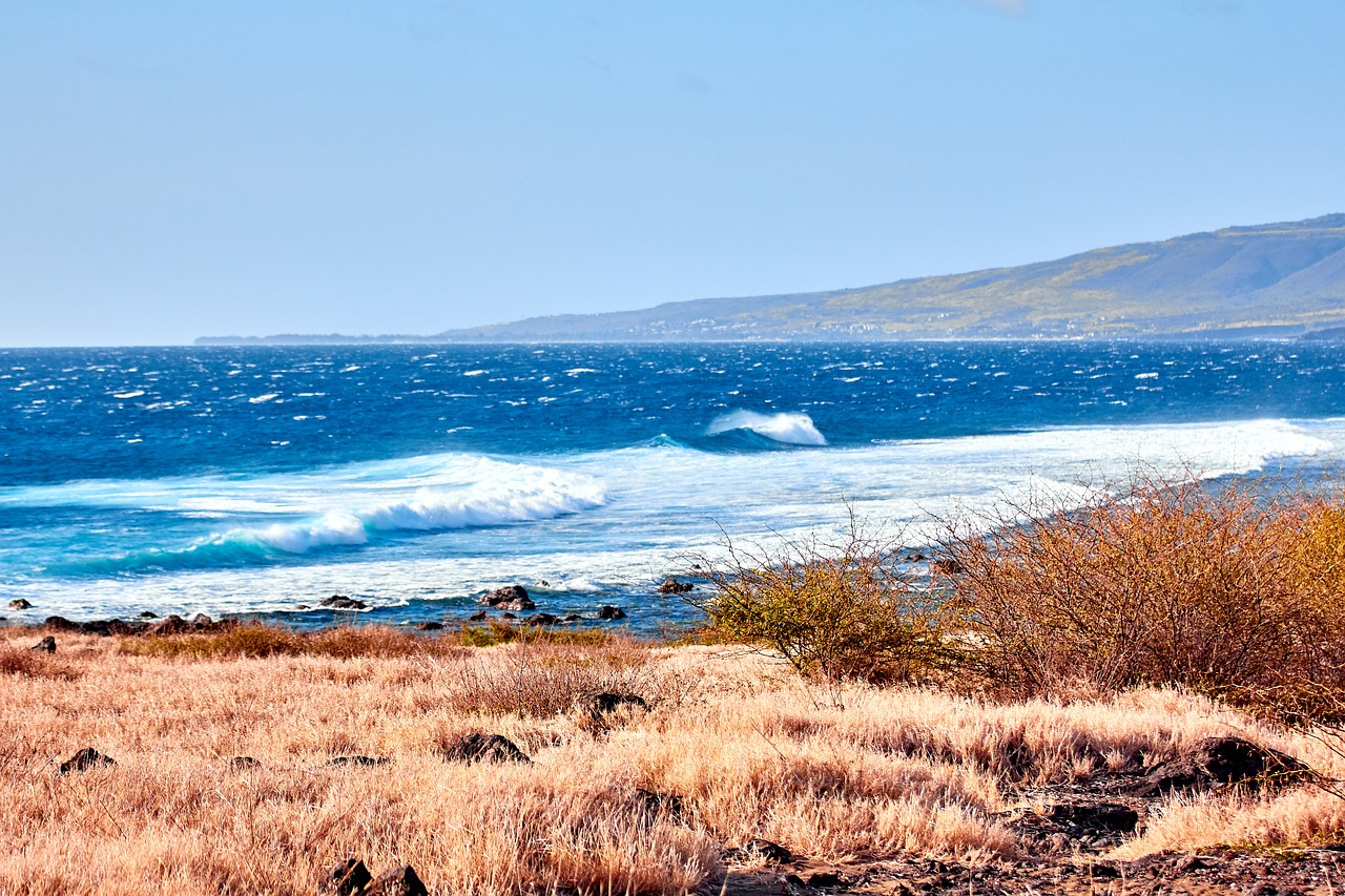 Aventure et Découverte à Saint-Leu, Île de la Réunion