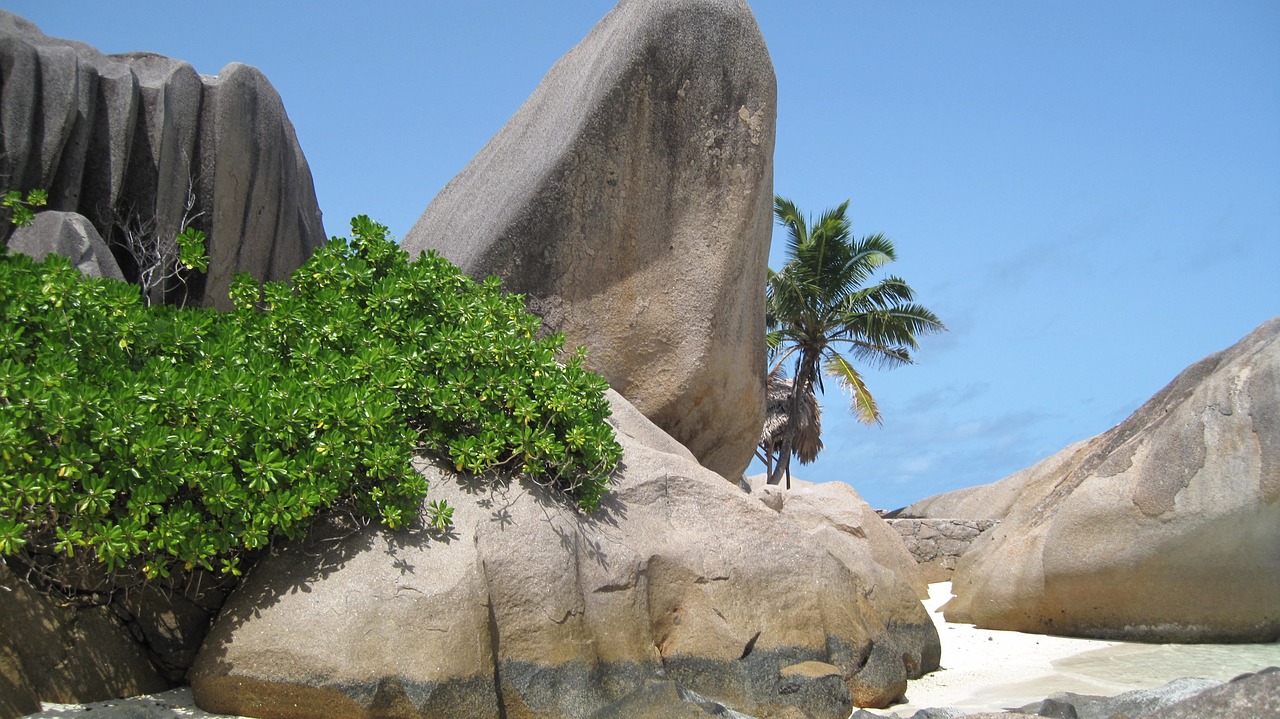 Ultimate 14-Day Seychelles Beach and Nature Adventure