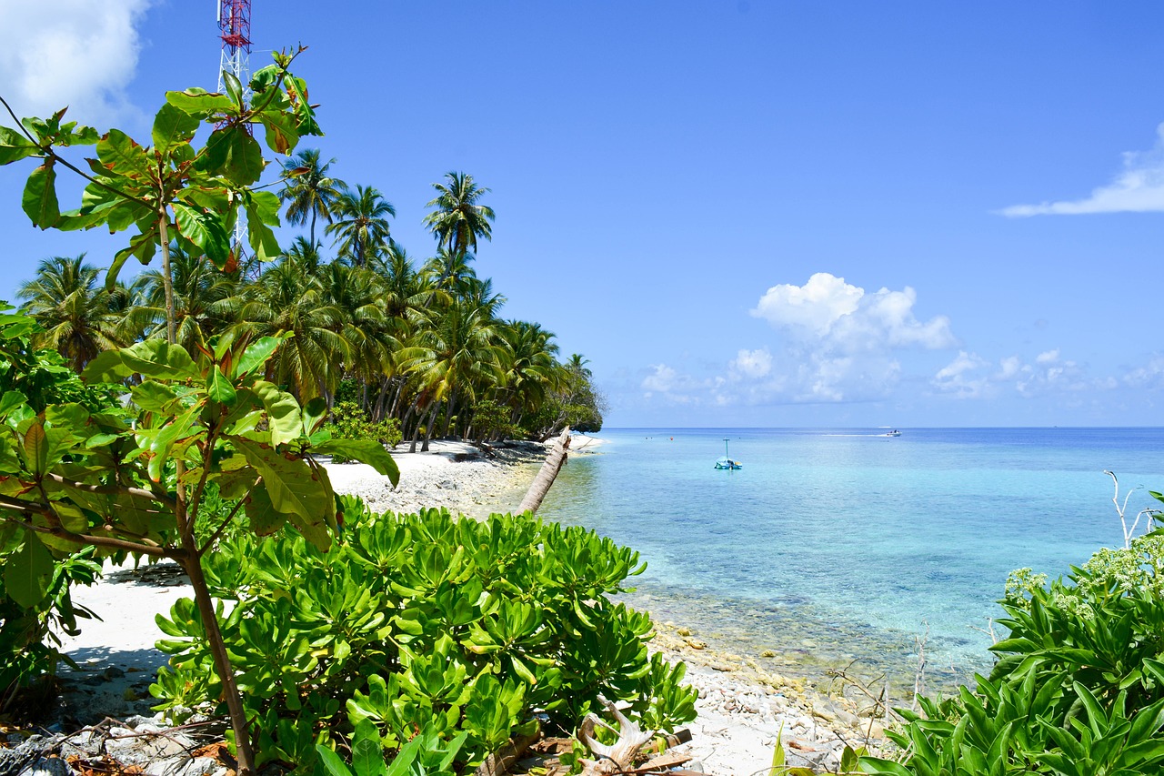 Manta Ray Paradise in Dharavandhoo