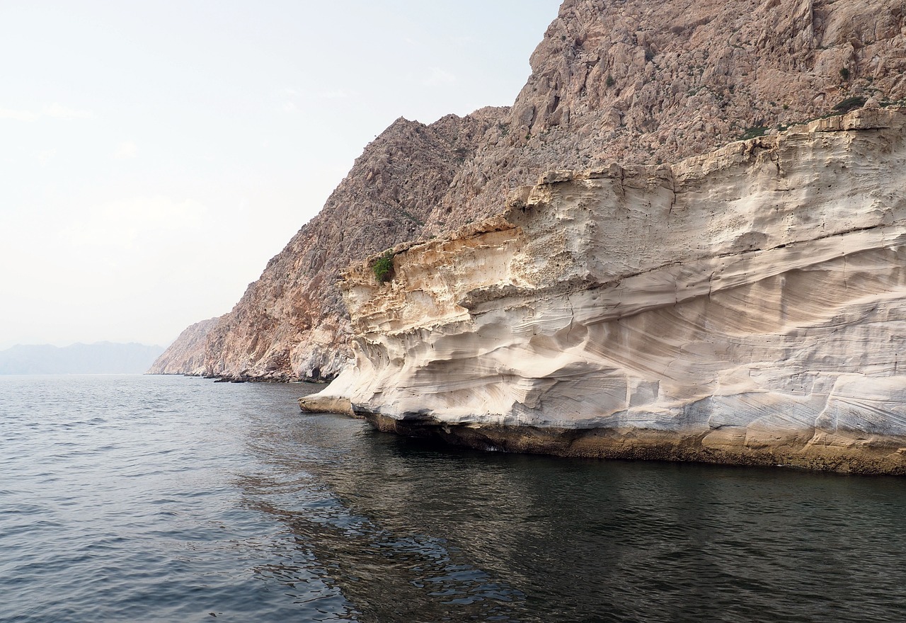 Serene Day in Musandam: Dolphins, Snorkeling & Local Delights