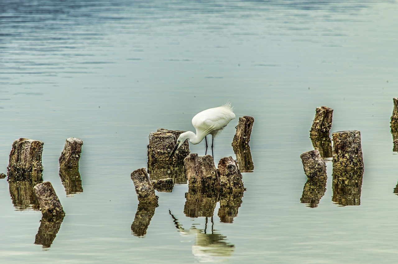 Sardinia Serenity: 7 Days of Nature and Culture in Cagliari