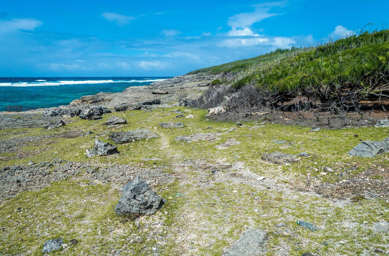 A Day of Snorkeling and Local Cuisine in Rodrigues Island