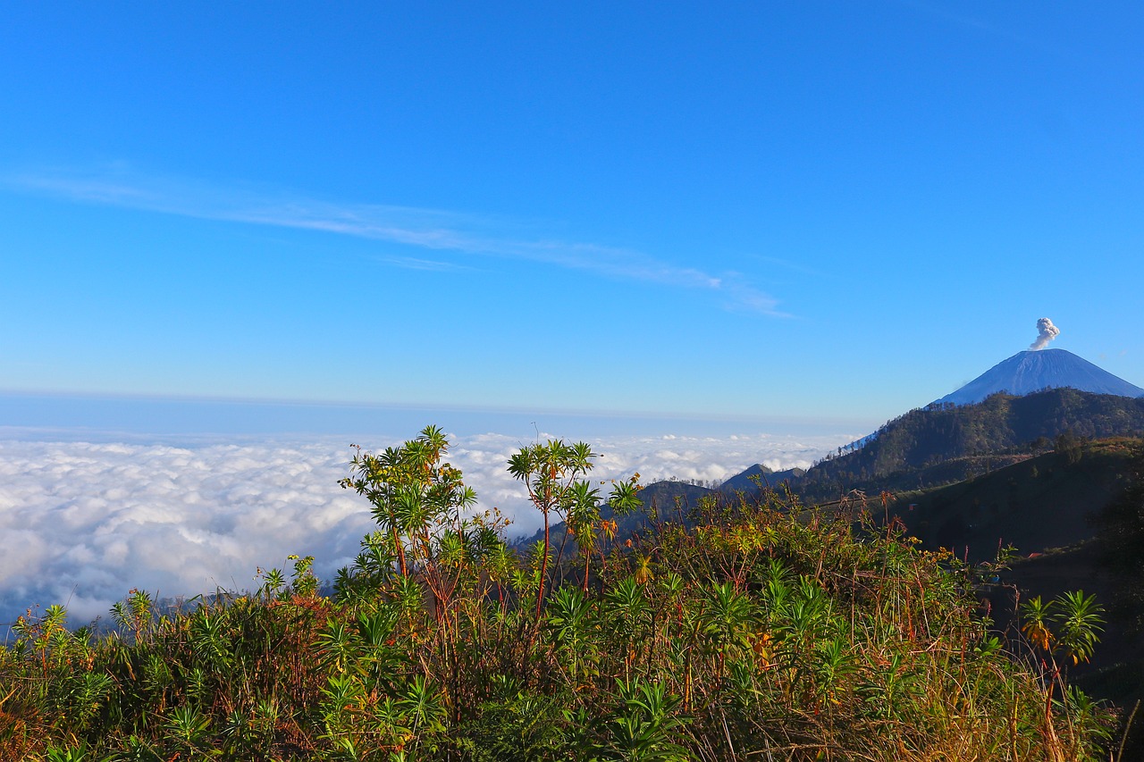 Bromo Adventure: Jeep Tours and Volcanic Landscapes