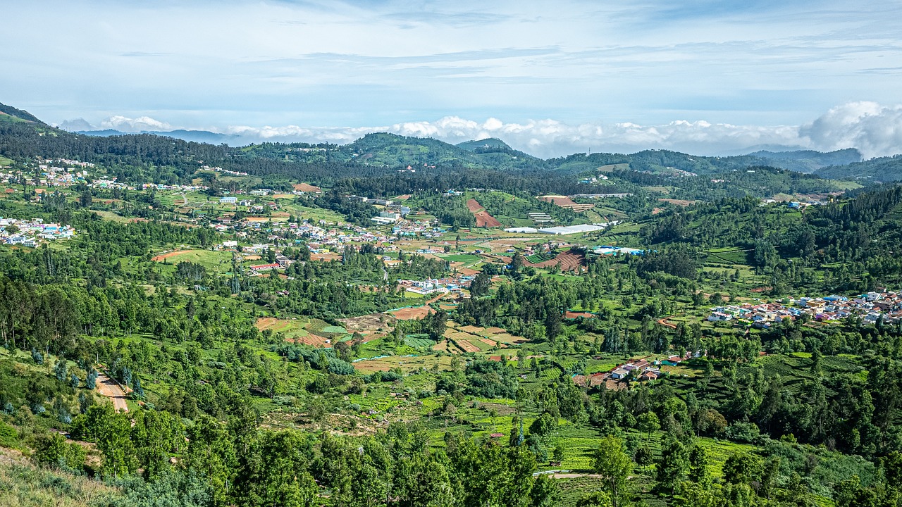 Tea Plantations and Mountain Views in Ooty