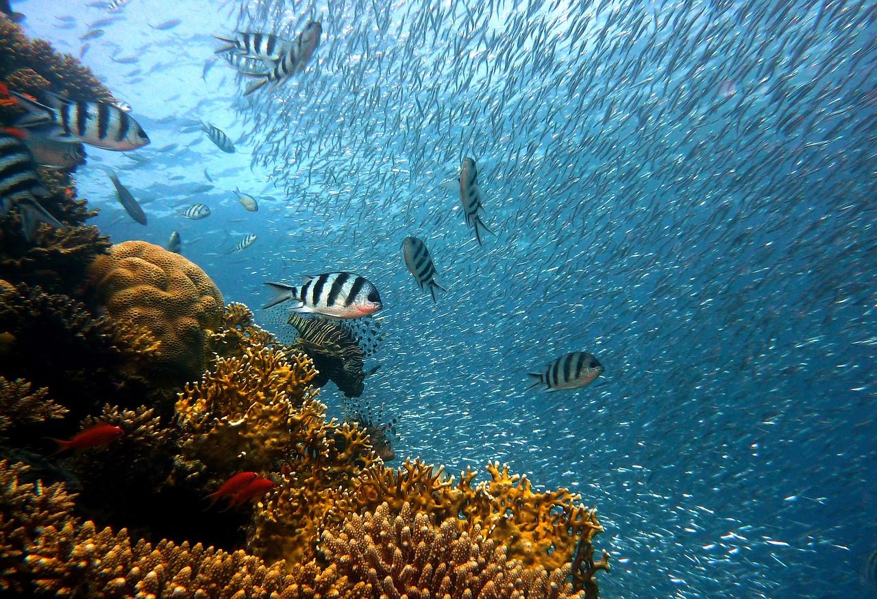 Explorando Lanzarote en 5 Días