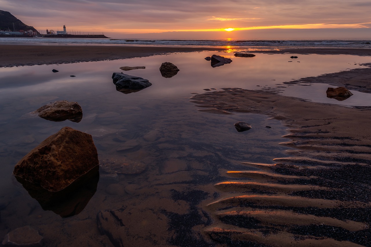 Yorkshire Coastal Adventure