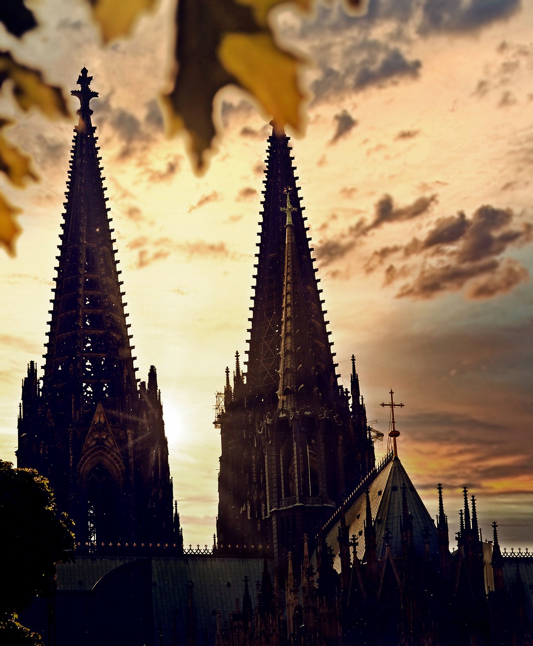 Cologne's Culinary and Cultural Delights