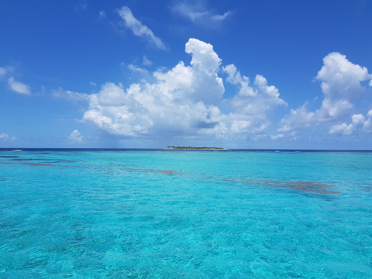 Beach Bliss and Nature's Charm in Tobago