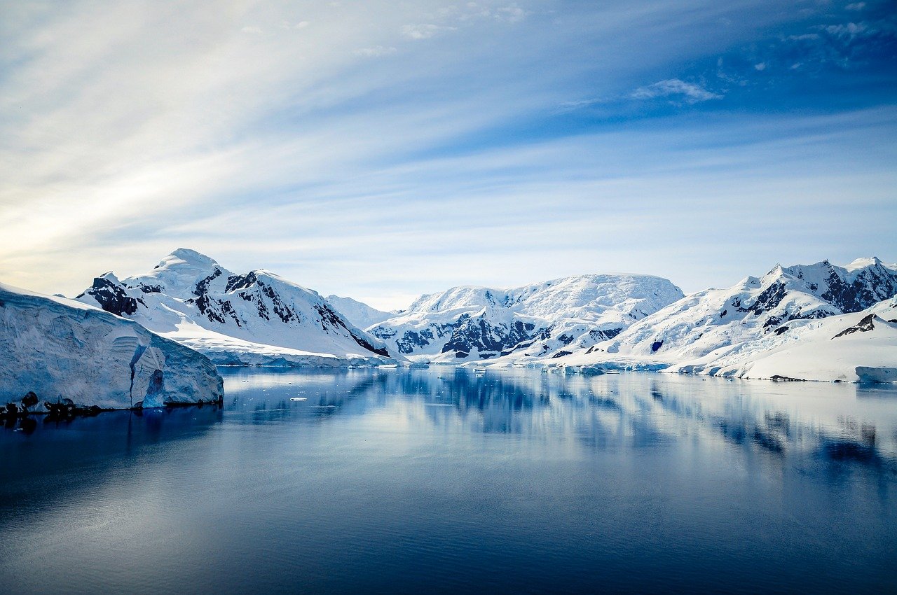 Antarctic Adventure: A Culinary Journey on Ice