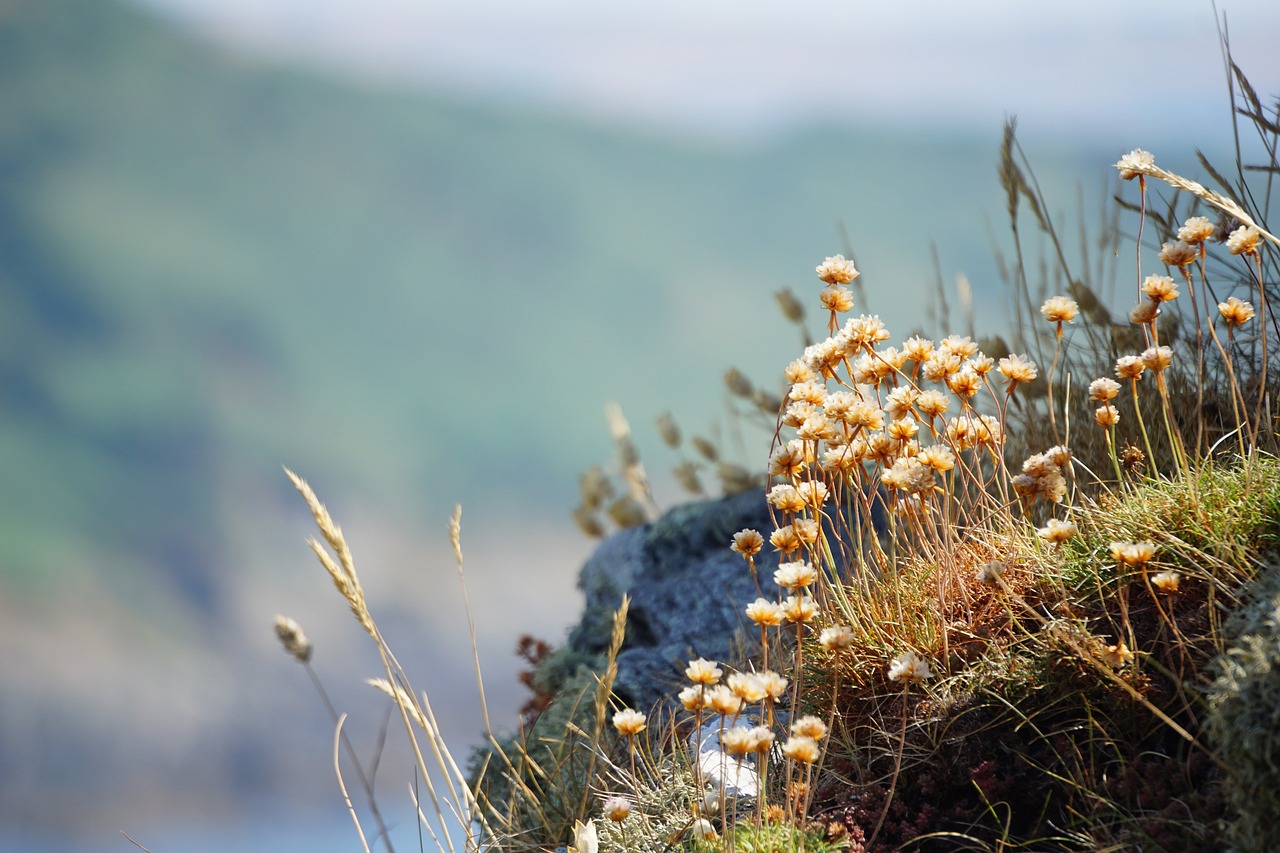 Coastal Road Trip: Exploring South England from Plymouth to Brighton