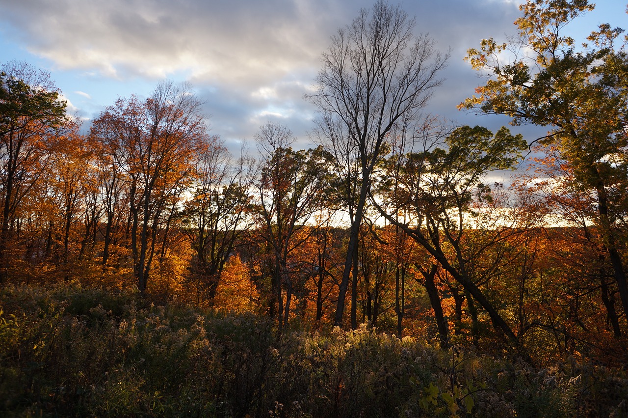 2-Day Nature Road Trip from Maple Grove