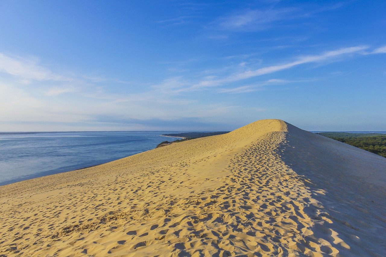 Arcachon Day Trip: Beaches and Villas